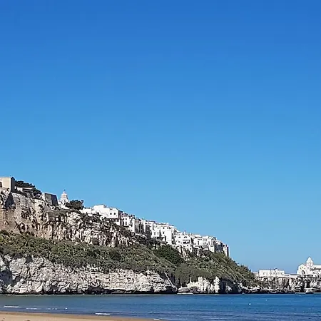 Aparthotel La Rotonda Sul Mare 4*